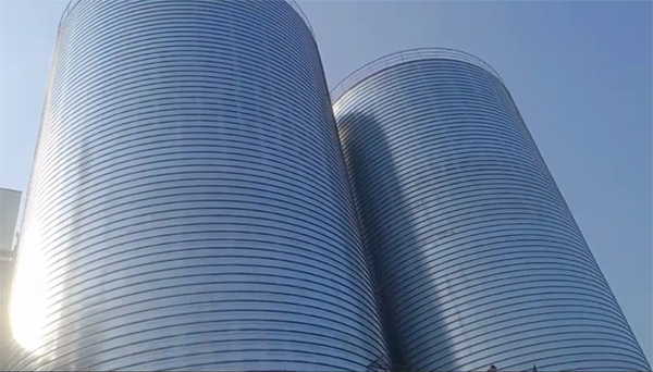 志丹2座混凝土高架卷板仓